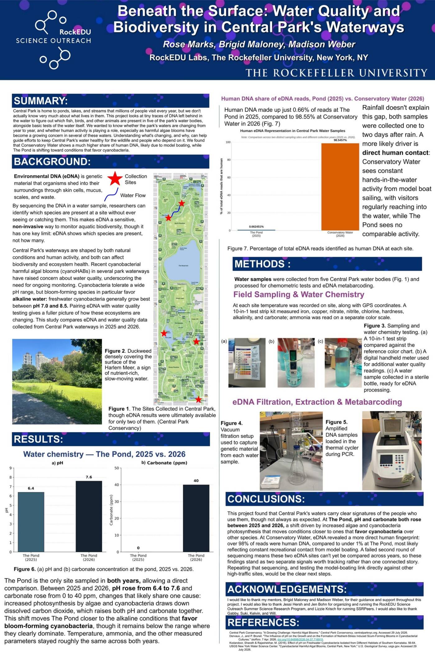 Beneath the Surface: Water Quality and Human Impact on Central Park's Waterways