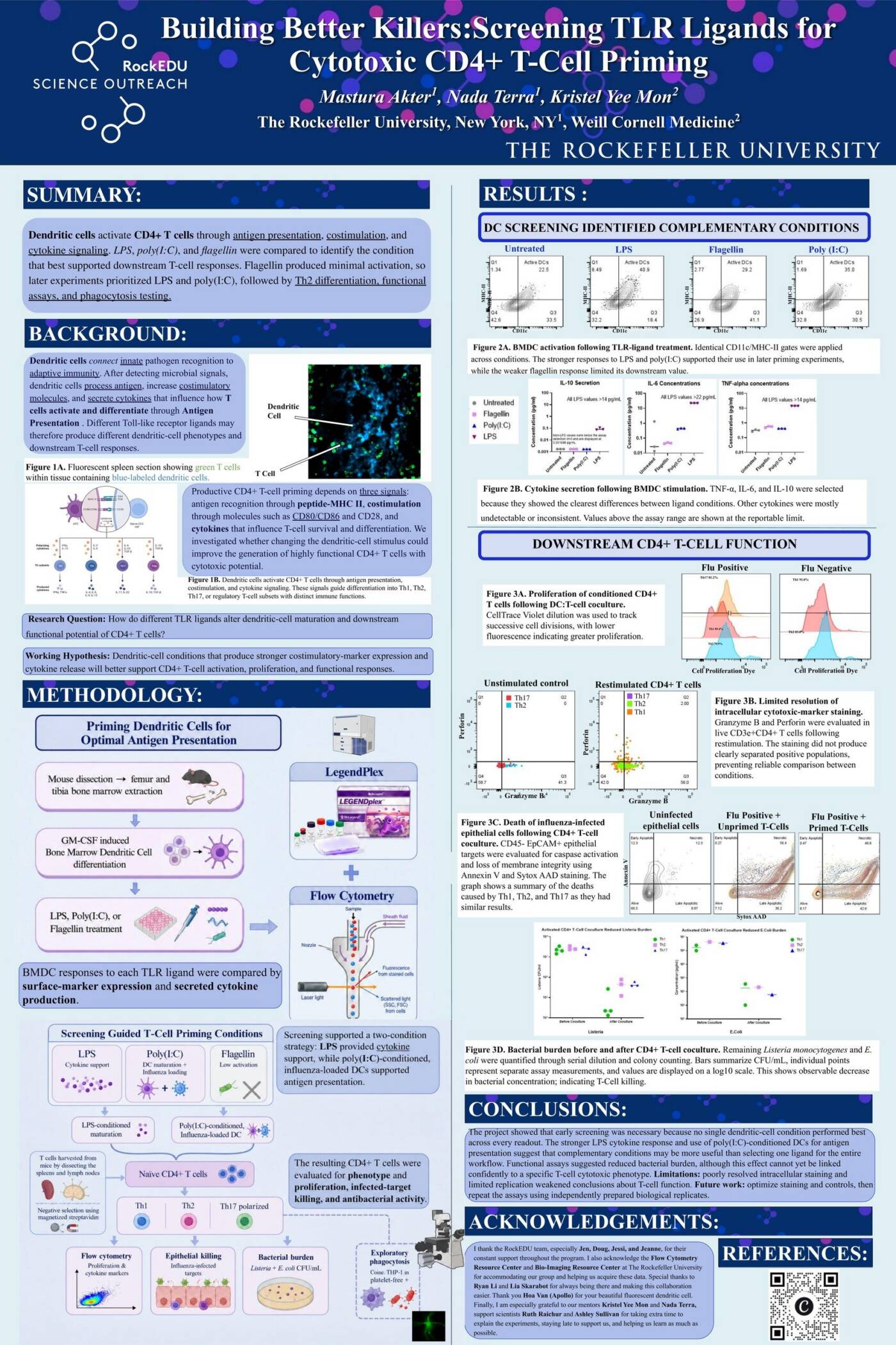 Building Better Killers: Screening TLR Ligands for Cytotoxic CD4+ T-Cell Priming
