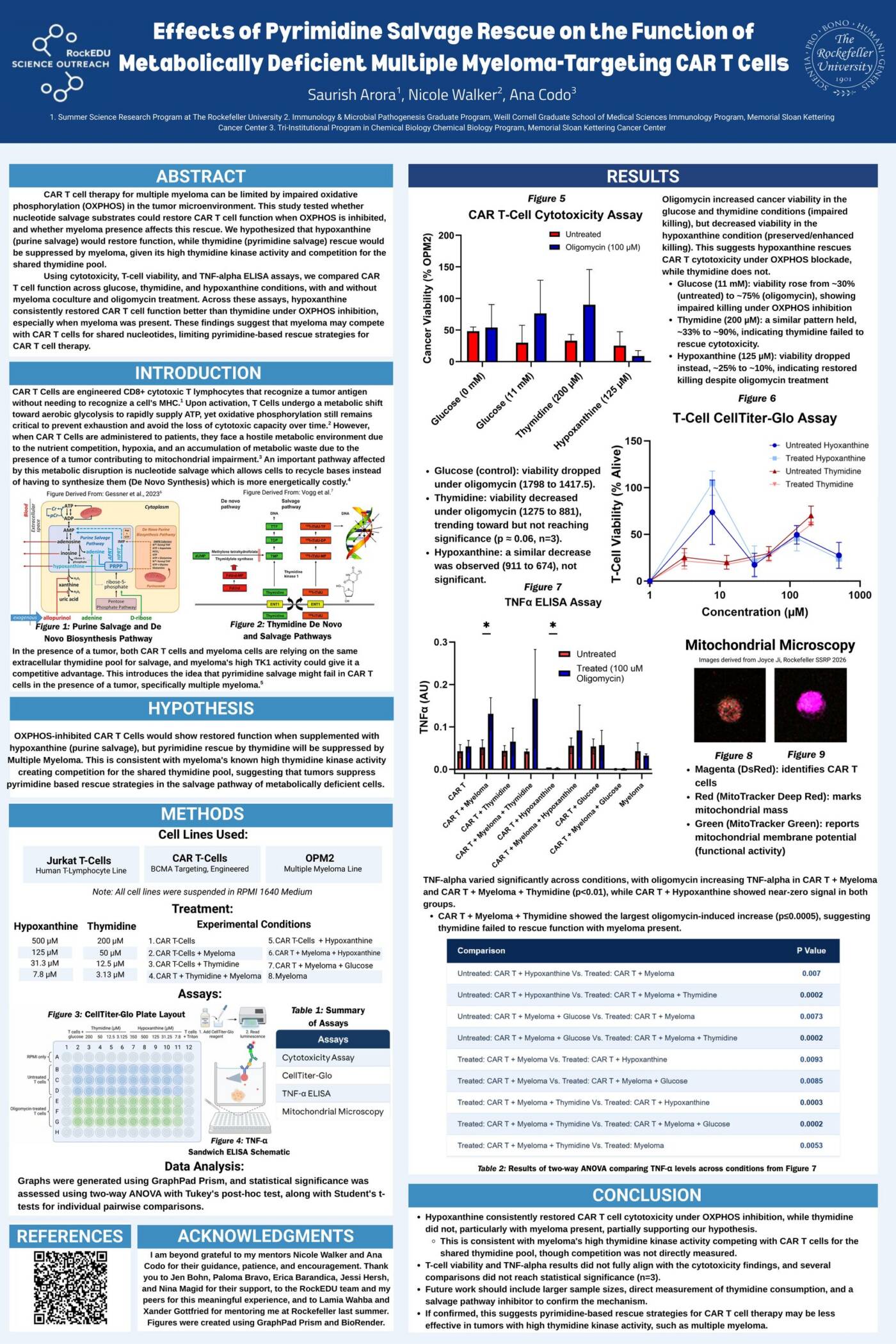 Effects of Pyrimidine Salvage Rescue on the Function of Metabolically Deficient Multiple Myeloma-Targeting CAR T Cells