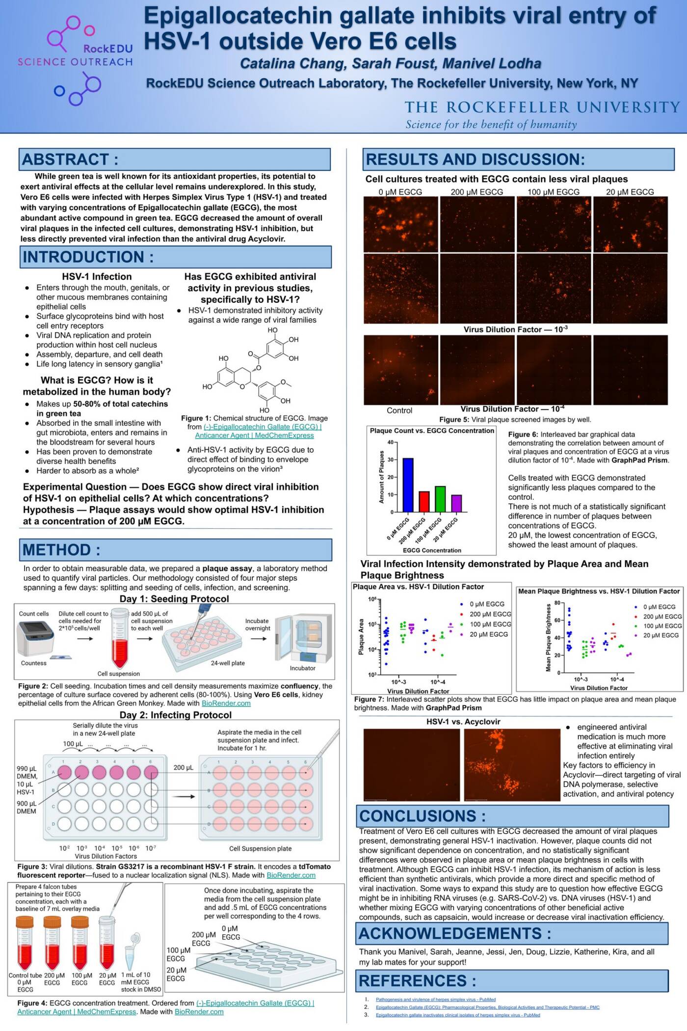Epigallocatechin gallate inhibits viral entry of HSV-1 outside Vero E6 cells
