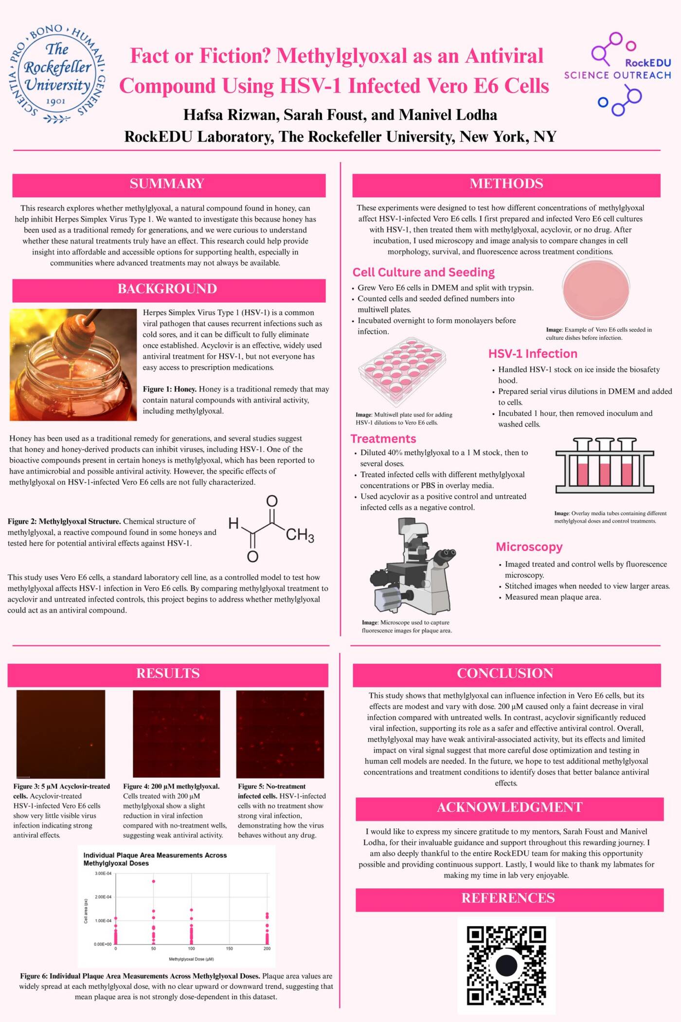 Fact or Fiction? Methylglyoxal as an Antiviral Compound Using HSV-1 Infected Vero E6 Cells
