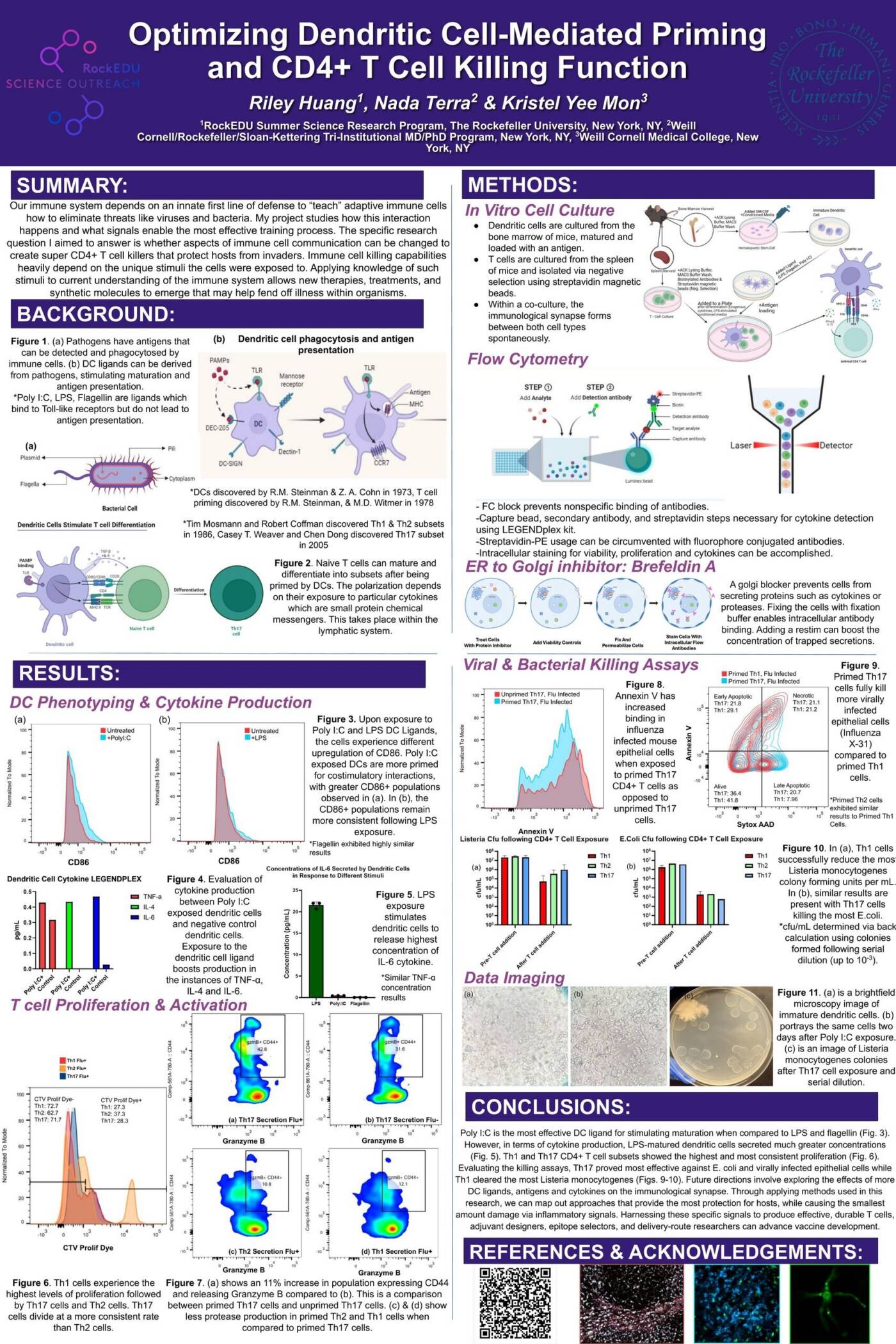 Optimizing Dendritic Cell-Mediated Priming and CD4+ T Cell Killing Function