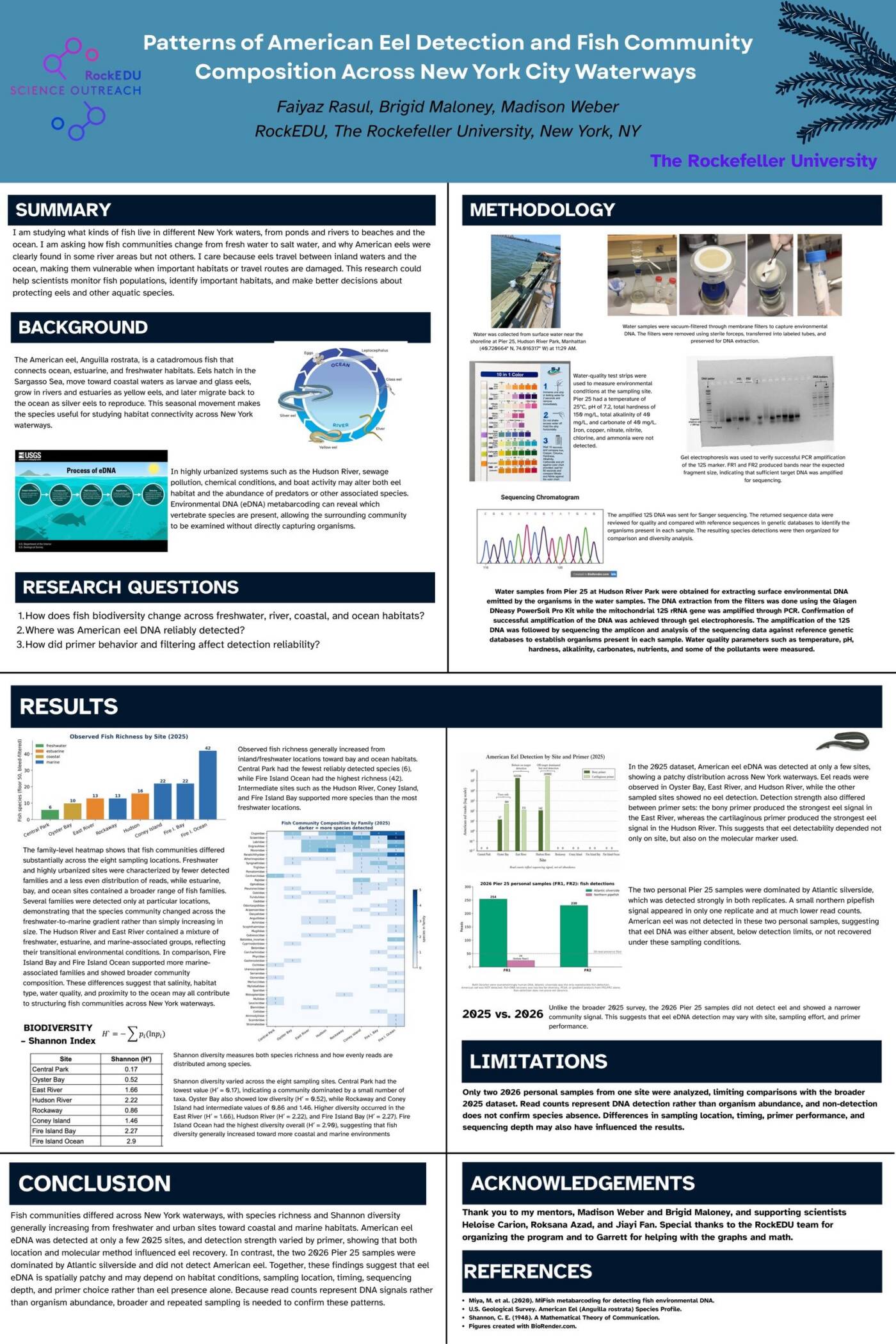Patterns of American Eel Detection and Fish Community Composition Across New York City Waterways