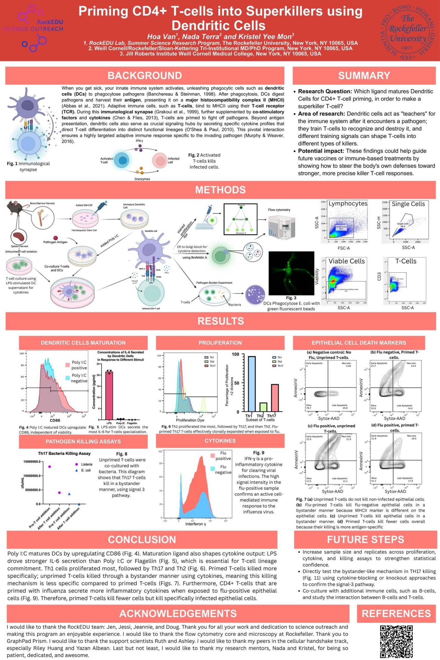 Priming CD4+ T-cells into Superkillers using Dendritic Cells