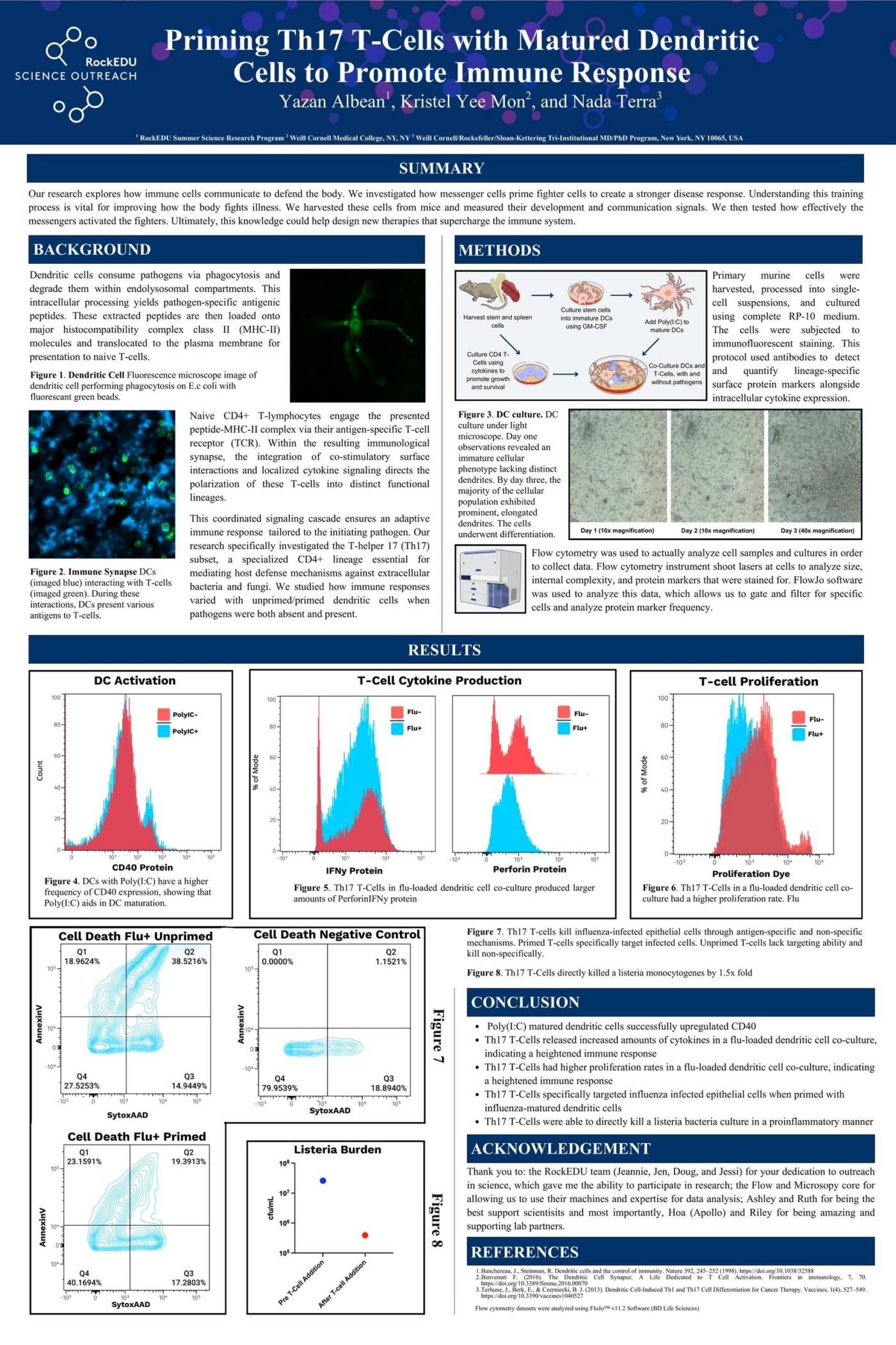 Priming Th17 T-Cells with Matured Dendritic Cells to Promote Immune Response
