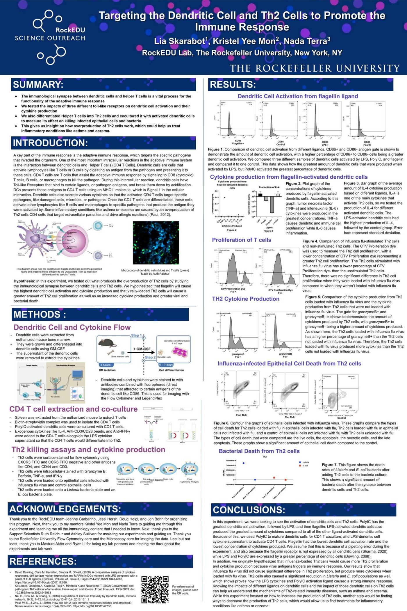 Targeting the Dendritic Cell and TH2 Cells to Promote the Immune Response