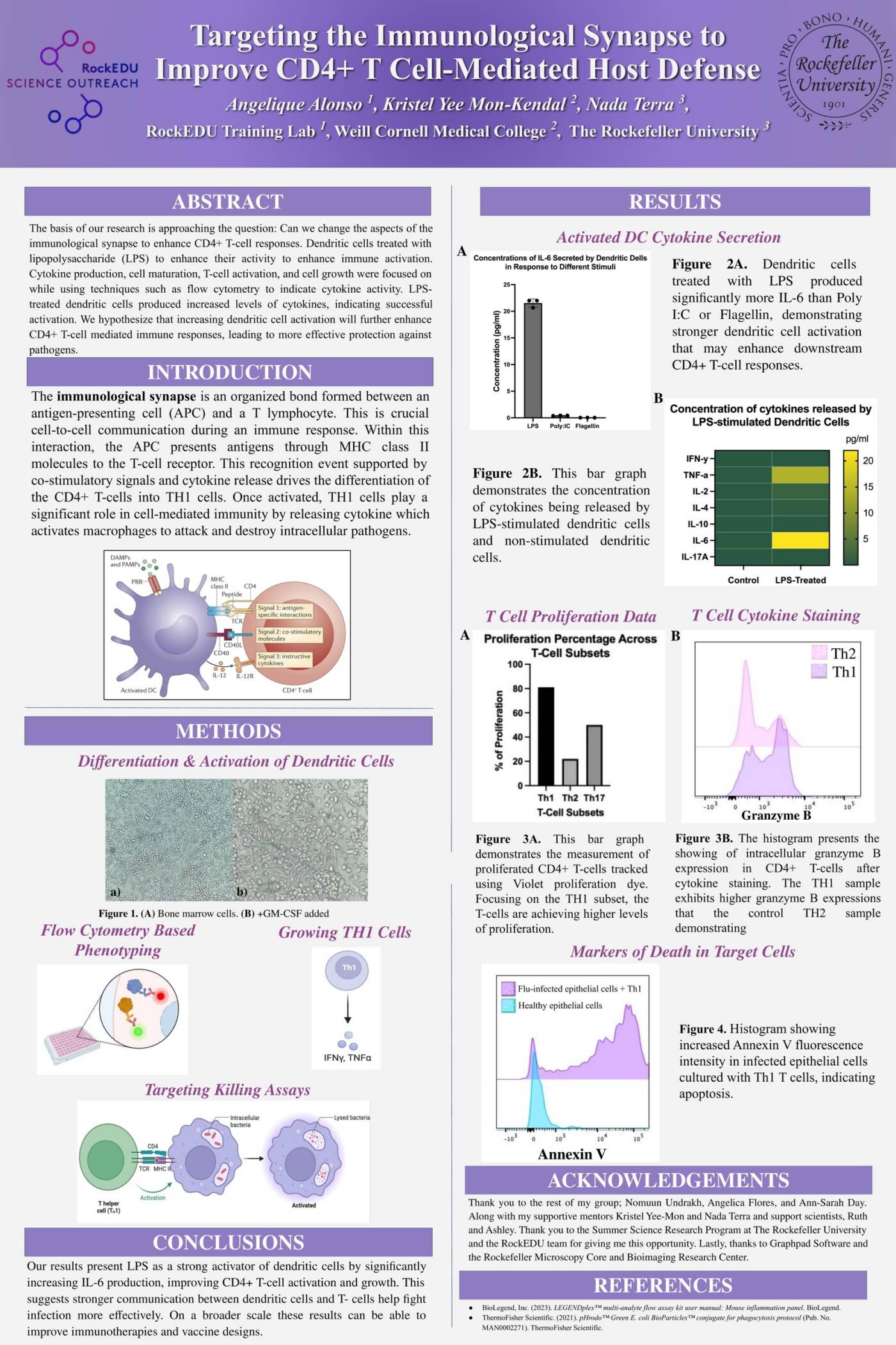 Targeting the Immunological Synapse to Improve CD4+ T Cell-Mediated Host Defense
