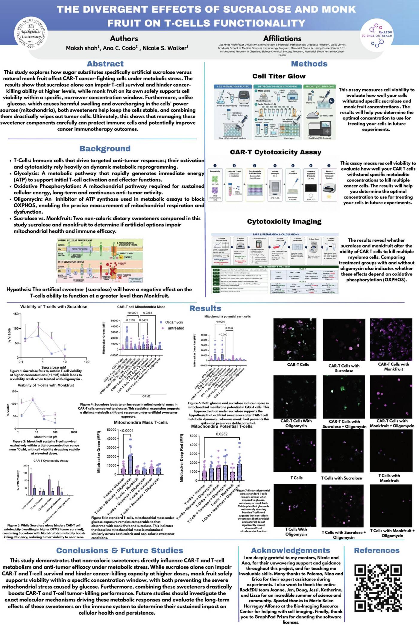 The Divergent Effects of Sucralose and Monk Fruit on T-cells functionality