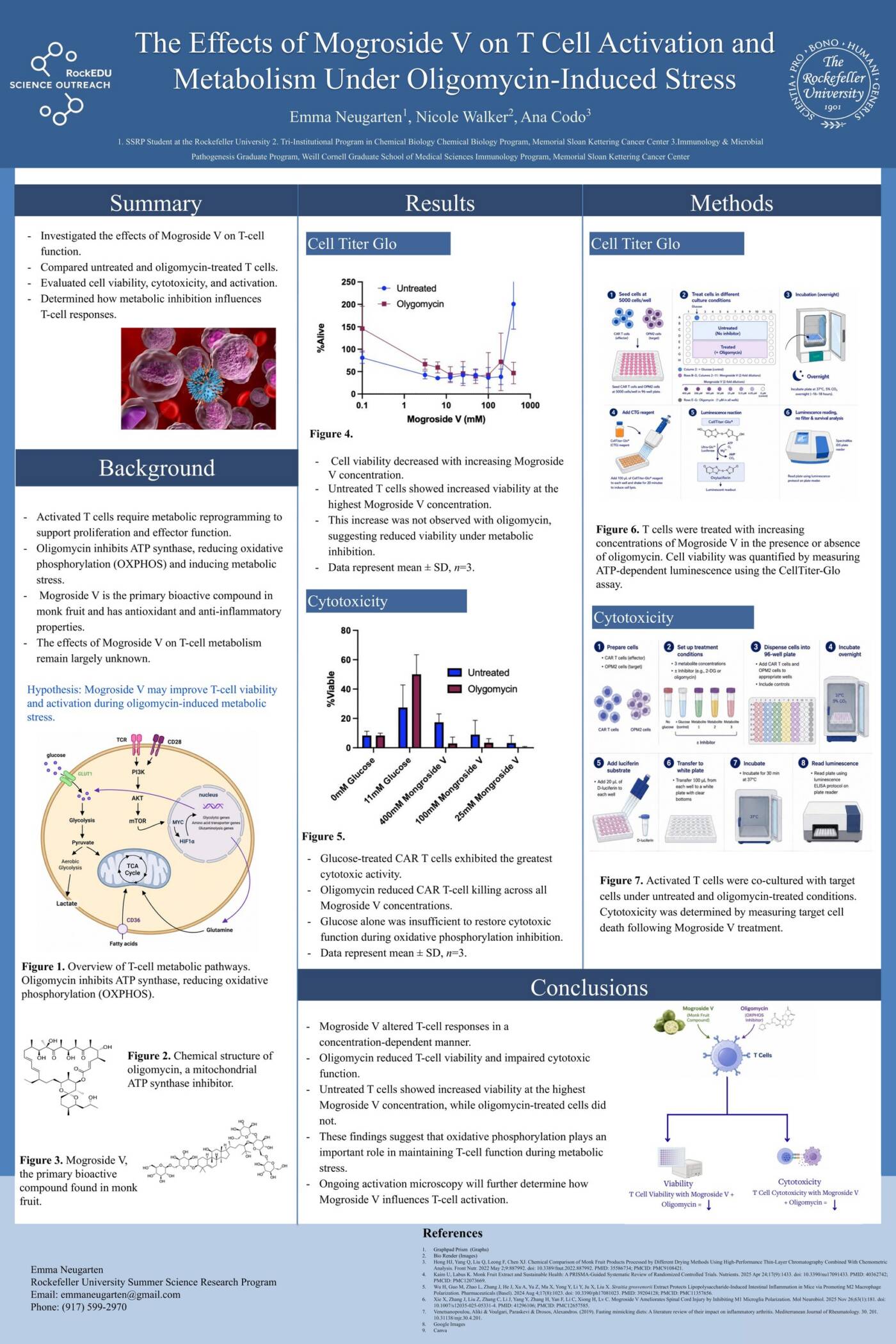 The Effects of Mogroside V on T Cell Activation and Metabolism Under Oligomycin-Induced Stress