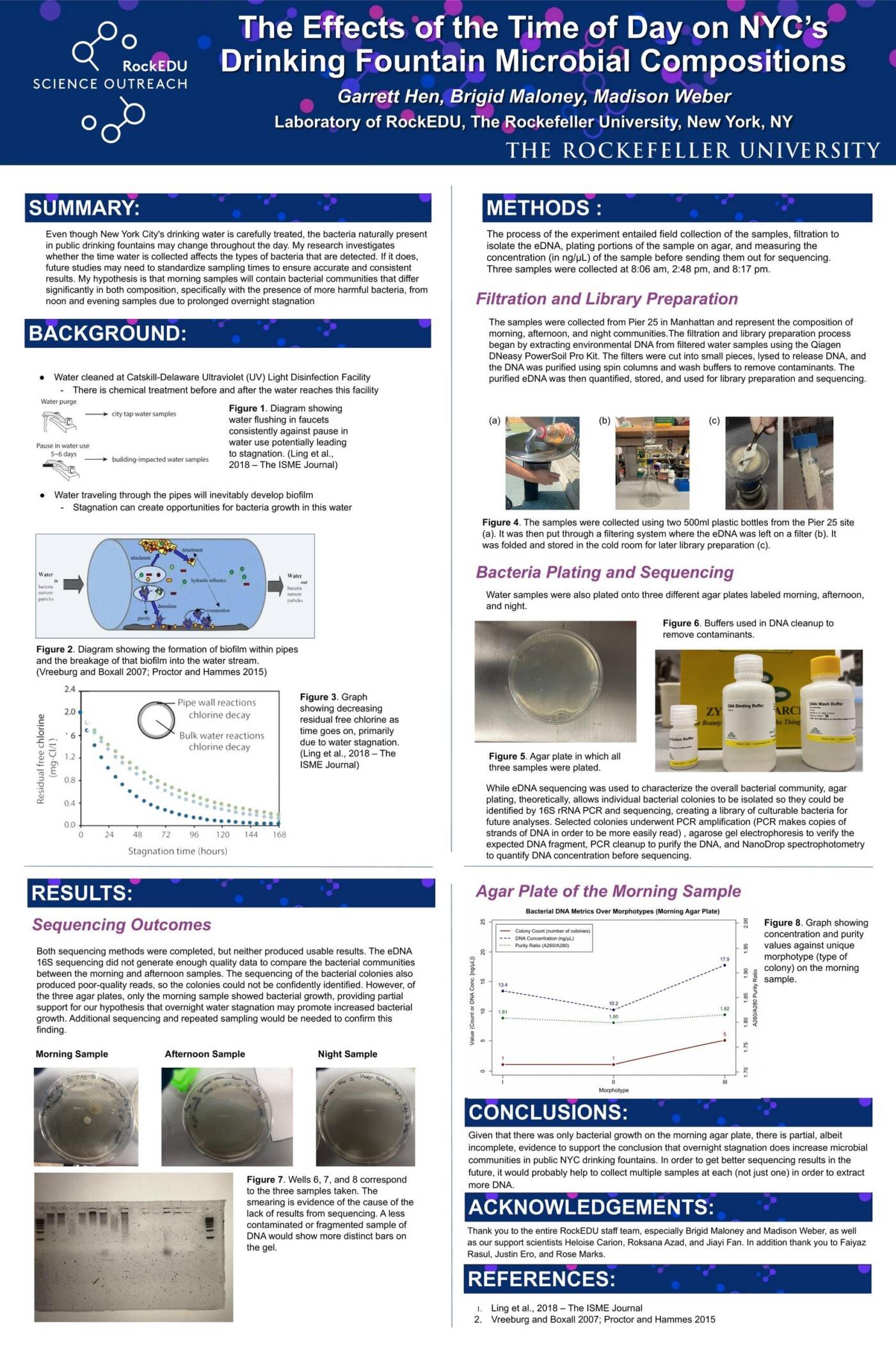 The Effects of the Time of Day on NYC’s Drinking Fountain Microbial Communities