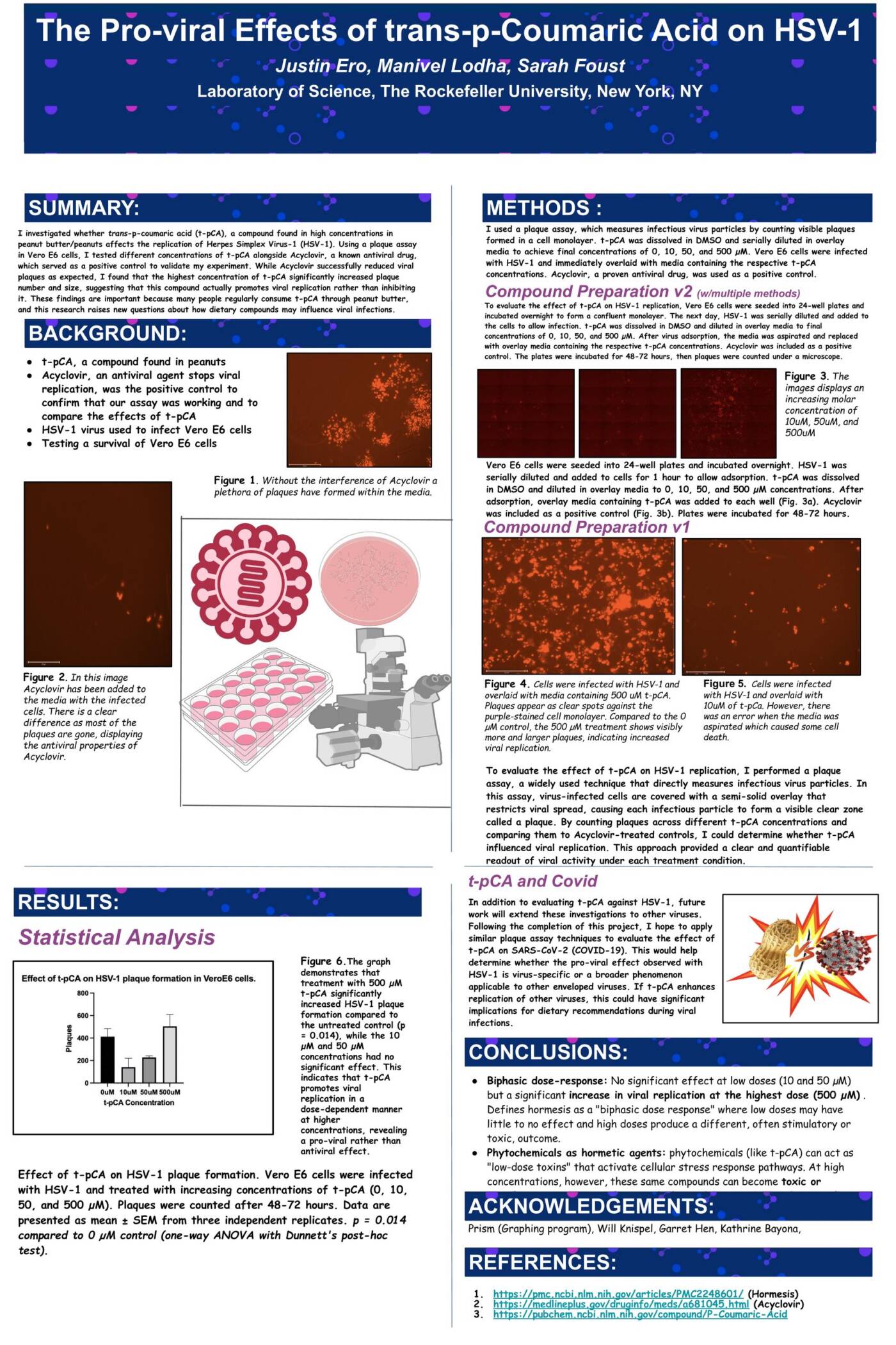 The Pro-Viral Effects of trans-p-Coumaric Acid on HSV-1