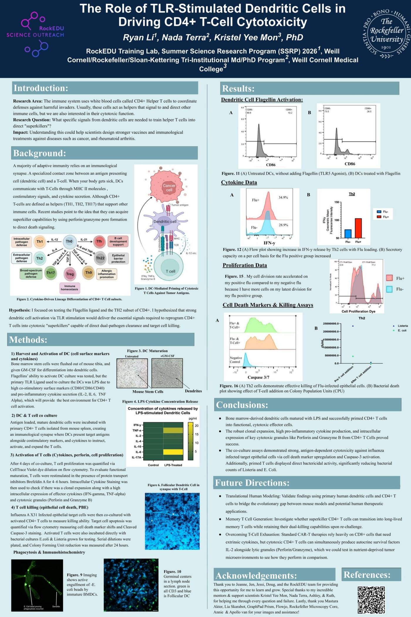 The Role Of TLR-Stimulated Dendritic Cells in Driving CD4+ T-Cell Cytotoxicity