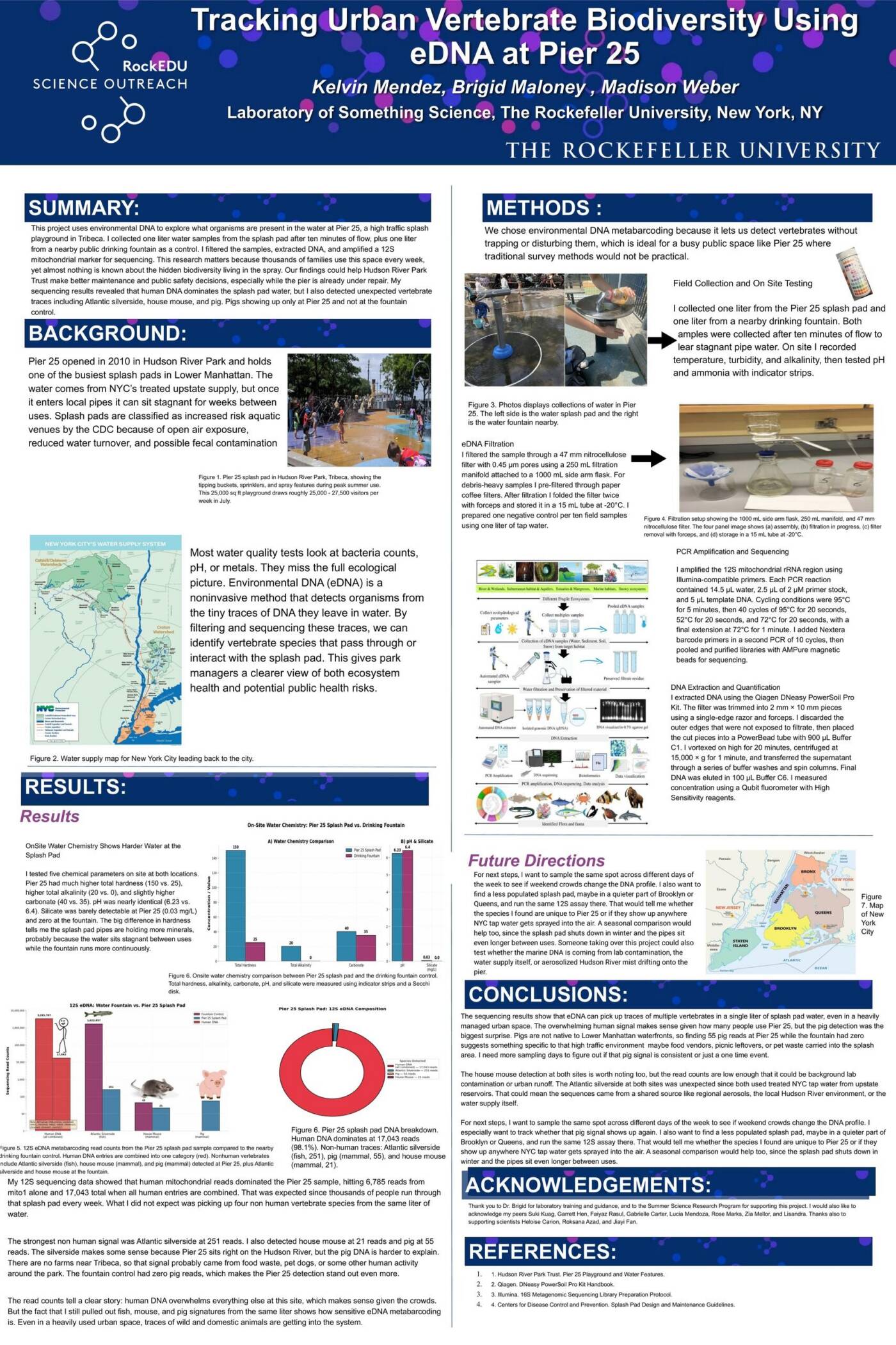 Tracking Urban Vertebrate Biodiversity Using eDNA at Pier 25